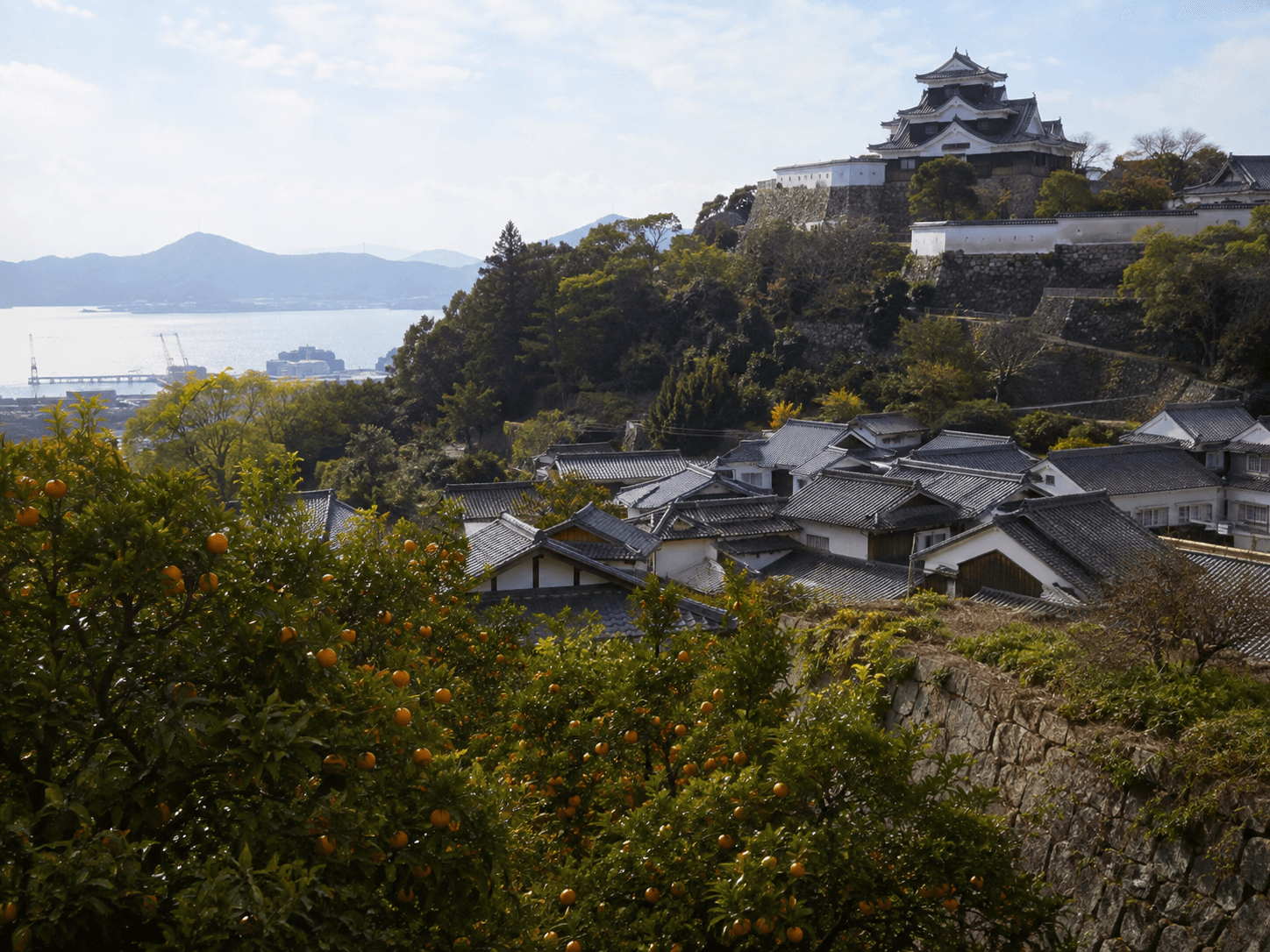 愛媛県 — AI生成参考画像(実写ではありません)