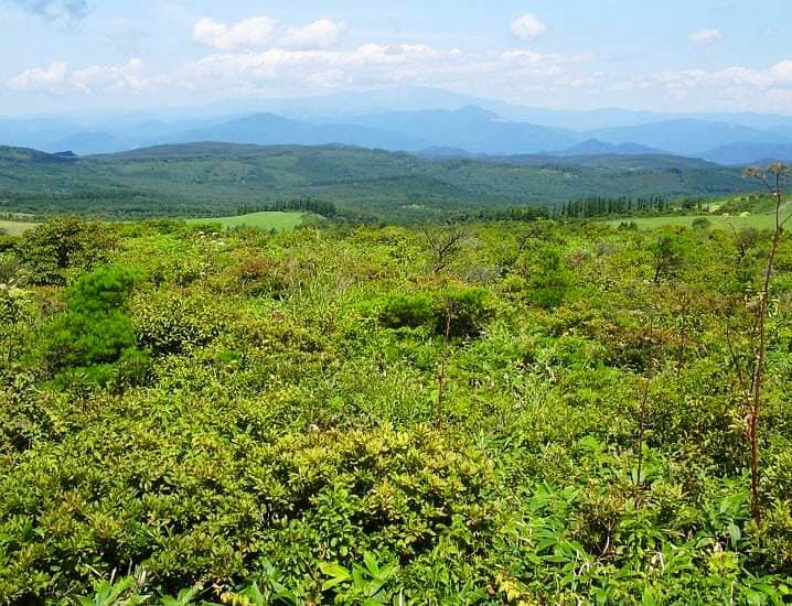 岩手県