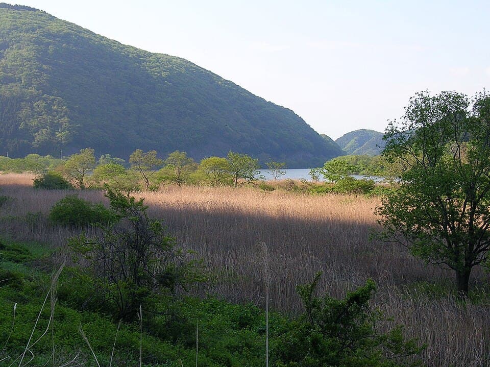 宮城県