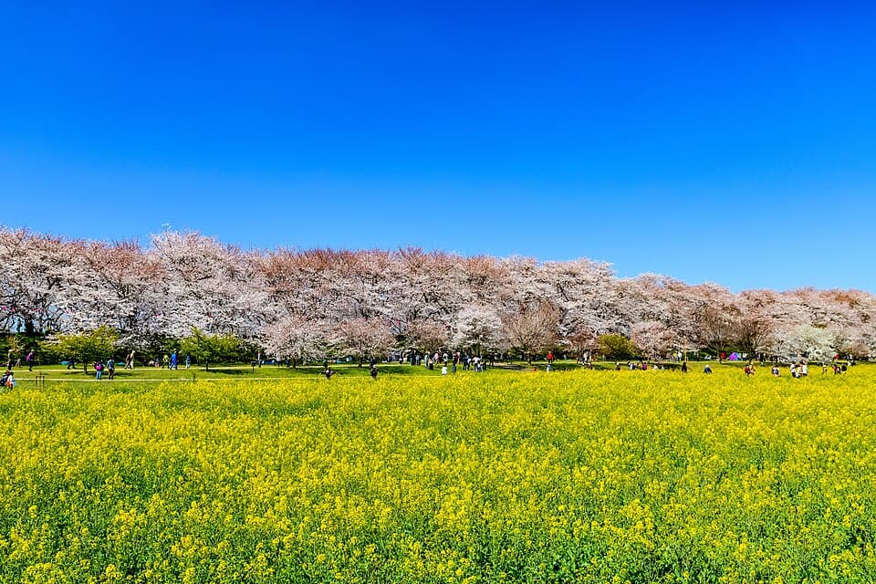 埼玉県