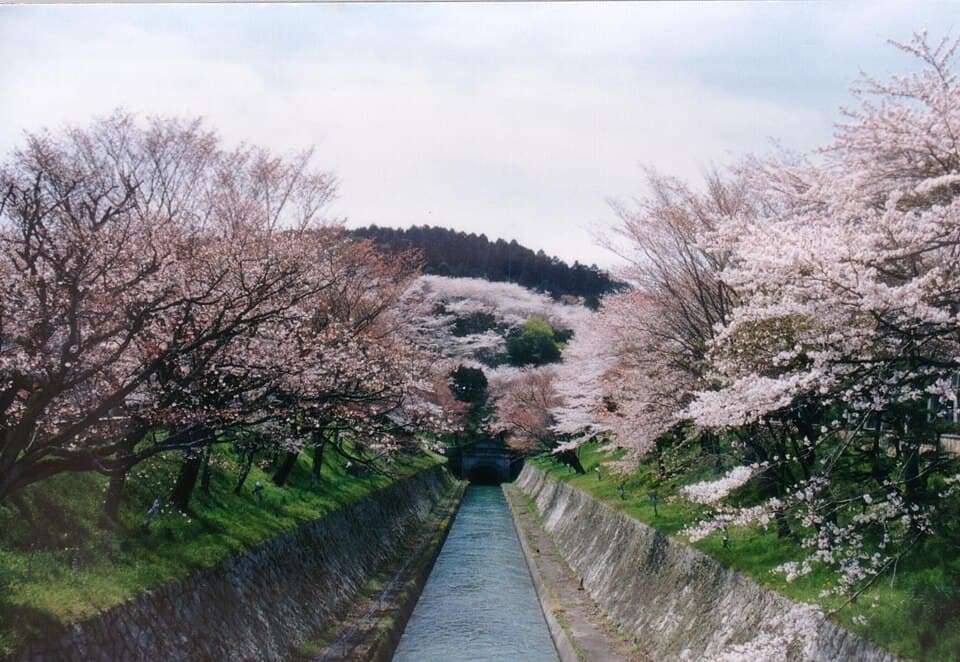 滋賀県