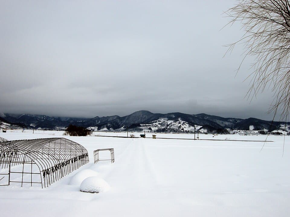 山形県